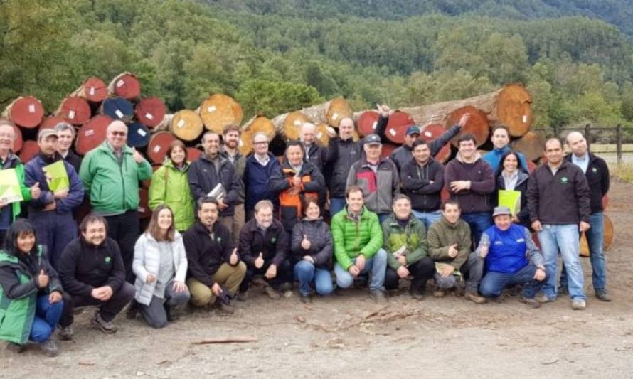 Lanzan proyecto forestal que quiere revalorizar madera nativa en Futrono
