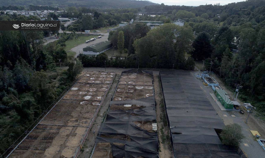 Diputado Rosas denunció abandono de planta de riles y plaga de moscas en Los Lagos