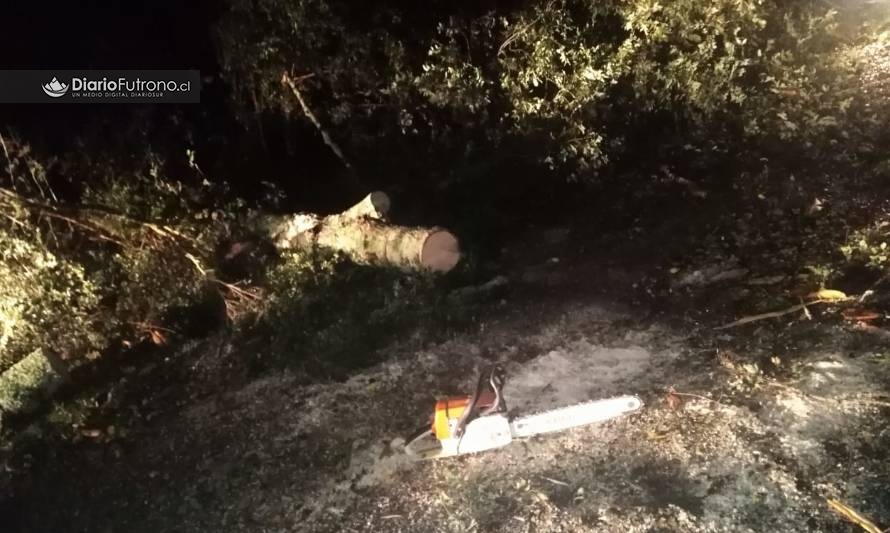 Árbol cayó sobre estacionamiento de casa ubicada en centro turístico de Caunahue