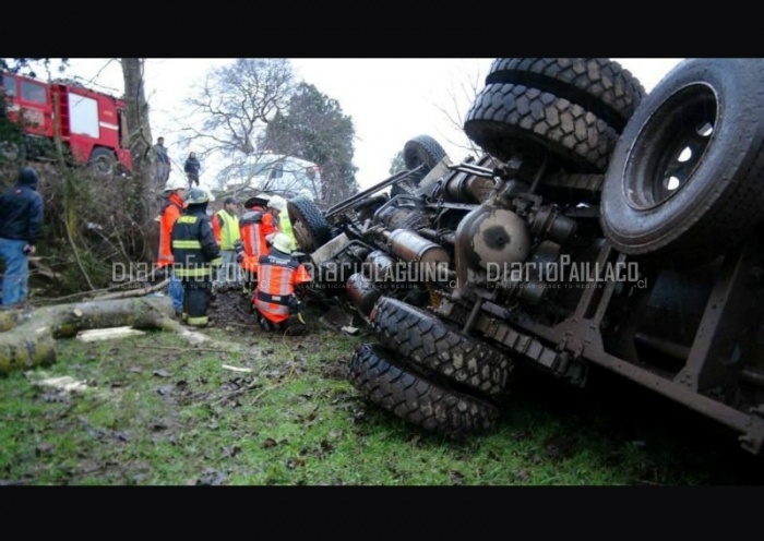 Camión de Colún protagonizó accidente en la ruta que une Río Bueno y Lago Ranco