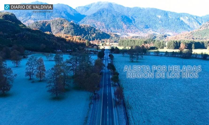 Onemi declaró alerta por heladas esta noche en la Región de Los Ríos