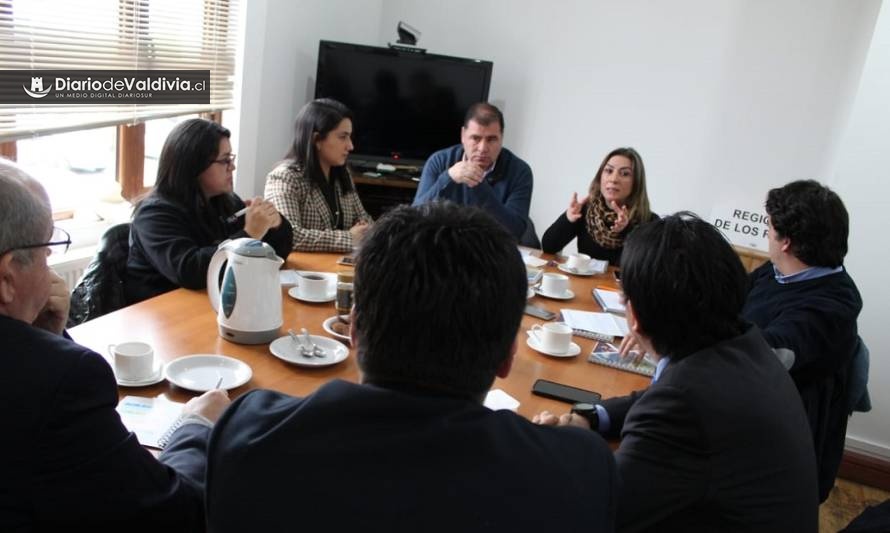 Seremi de la Mujer y la Equidad de Género y Conadi lideran mesa de la mujer indígena en Los Ríos