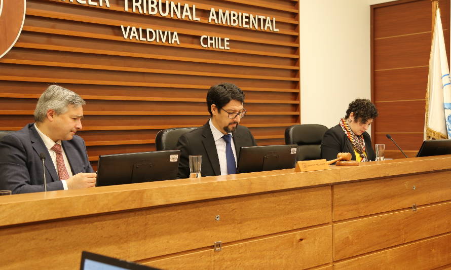 Tribunal Ambiental de Valdivia mantiene prohibición de relleno de “humedal Angachilla”