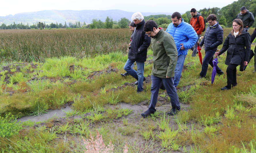 Tribunal Ambiental inspeccionó humedales en Angachilla y Teja Sur