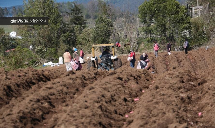 El desafío de valorar la vida rural: Un tema de justicia social