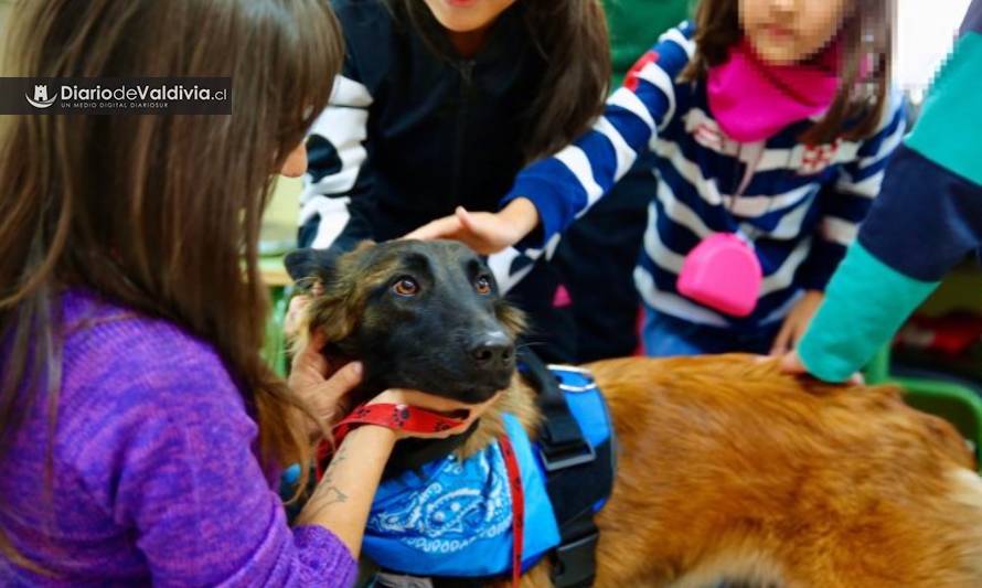Parte "Expo Amo Mis Mascotas" con talleres de salud, alimentación, higiene y entrenamiento animal