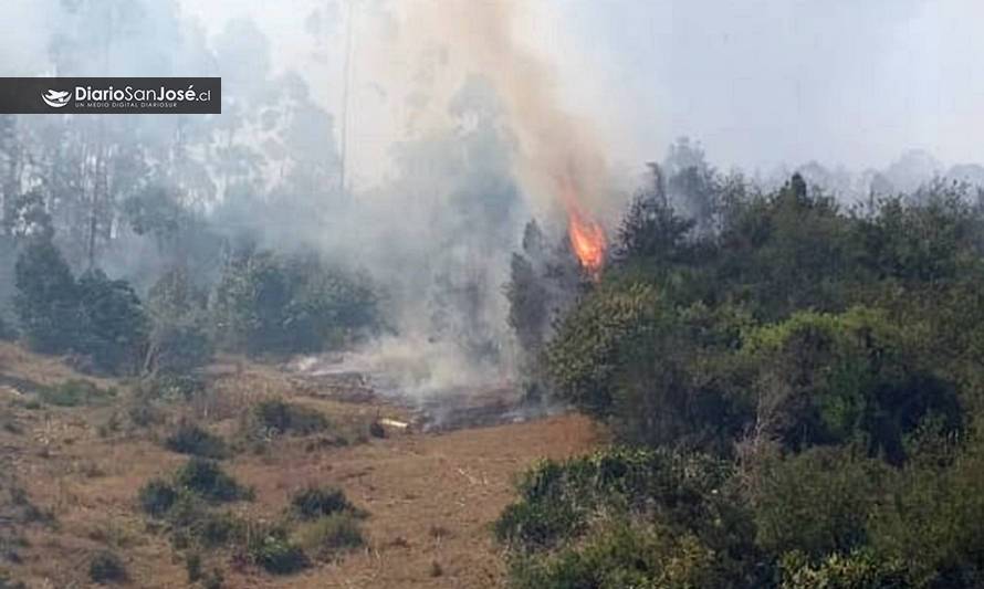 Incendio forestal en la comuna de Mariquina: Cancelan Alerta Roja y declaran Alerta Amarilla