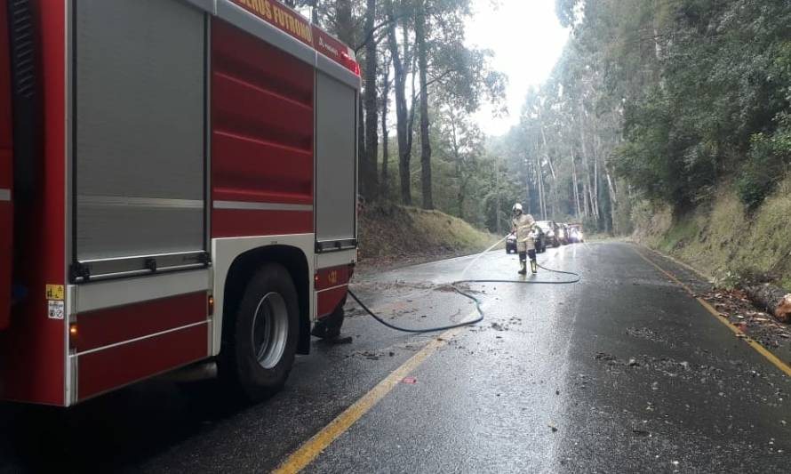 Caída de árbol cortó línea telefónica con fibra óptica en Futrono