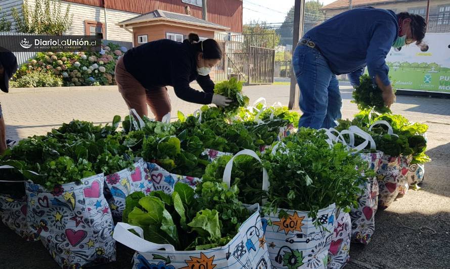 La Unión: Adultos mayores en riesgo recibirán canasta saludable con verduras y hortalizas