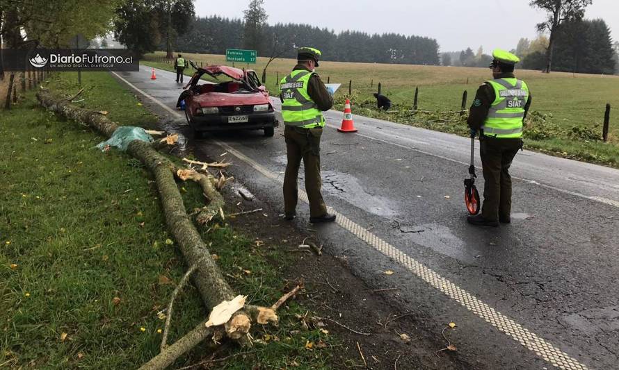 Identifican a fallecido en ruta Futrono-Paillaco: Automóvil fue aplastado por un árbol