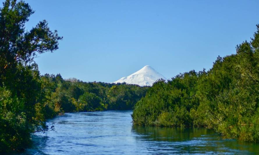 Denuncian a empresas por vertimiento de riles y contaminación del río Maullín