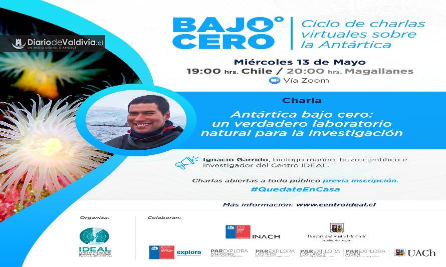 Ciclo de charlas virtuales “Bajo Cero” revela el fondo marino de la Antártica