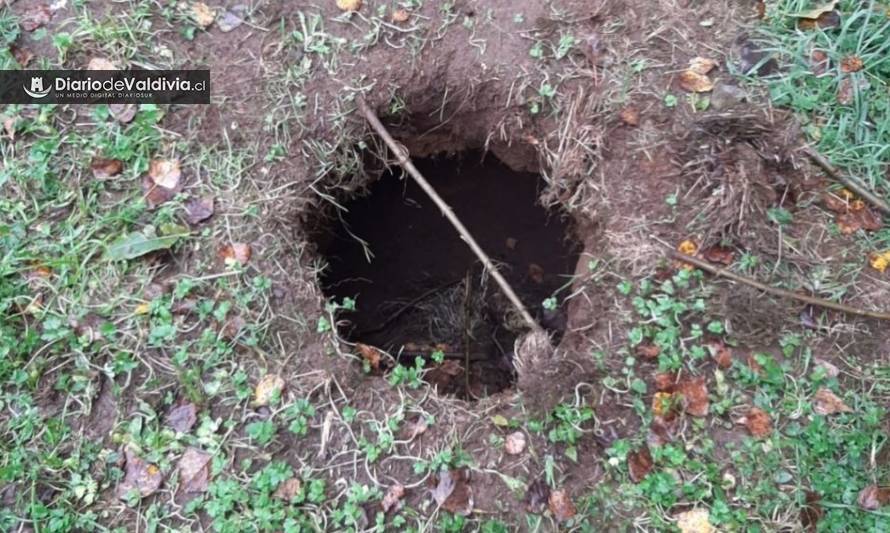 Encuentran excavación en patio de centro Sename en Valdivia 