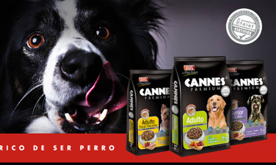 SERNAC ofició a marca de comida para perros "Cannes"