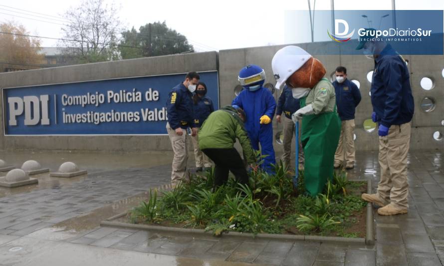 PDI comienza arborización de sus nuevas dependencias en Valdivia 