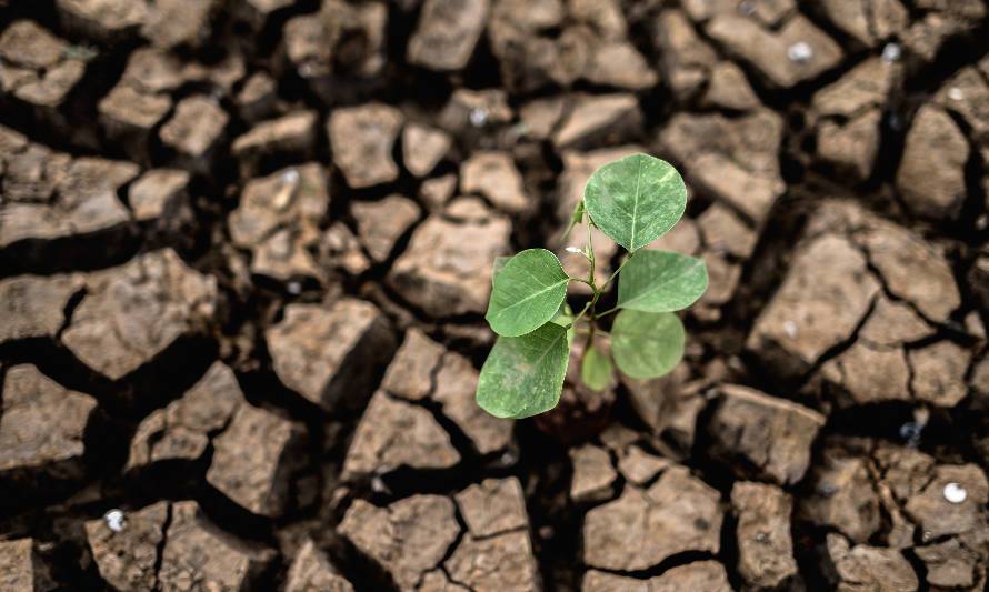 Sequía: la otra crisis que ataca en silencio