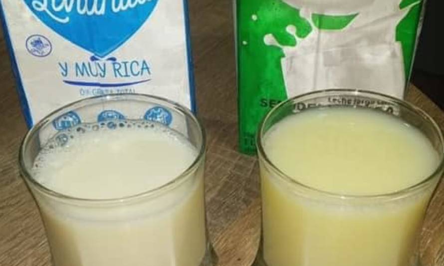 Municipalidad de Ancud inciará acciones legales por cajas de alimentos en mal estado