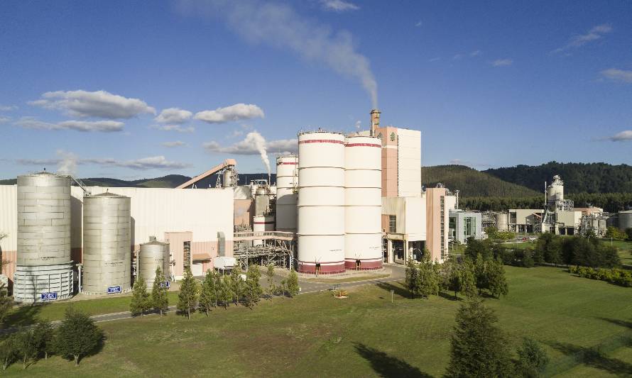 Celulosa Arauco San José debuta con producción de pulpa textil