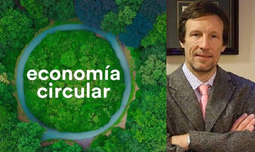 Columna de Opinión: Madera y economía circular