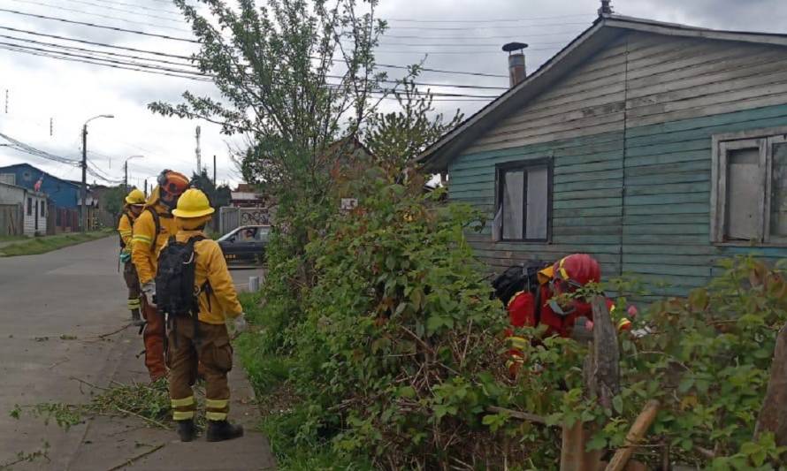 Conaf genera unidad demostrativa de cómo proteger su casa ante incendios forestales