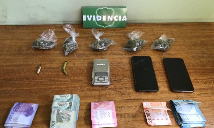 Tenían antecedentes: Dos detenidos por tráfico de marihuana en Valdivia