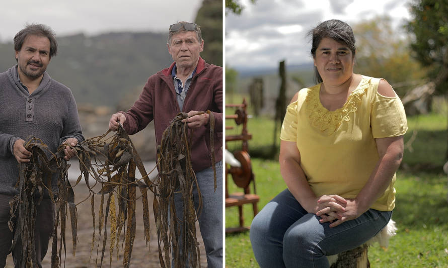 AHORA: Transmisión en vivo: Emprendedores de Futrono y Valdivia inician lucha por millonario premio 