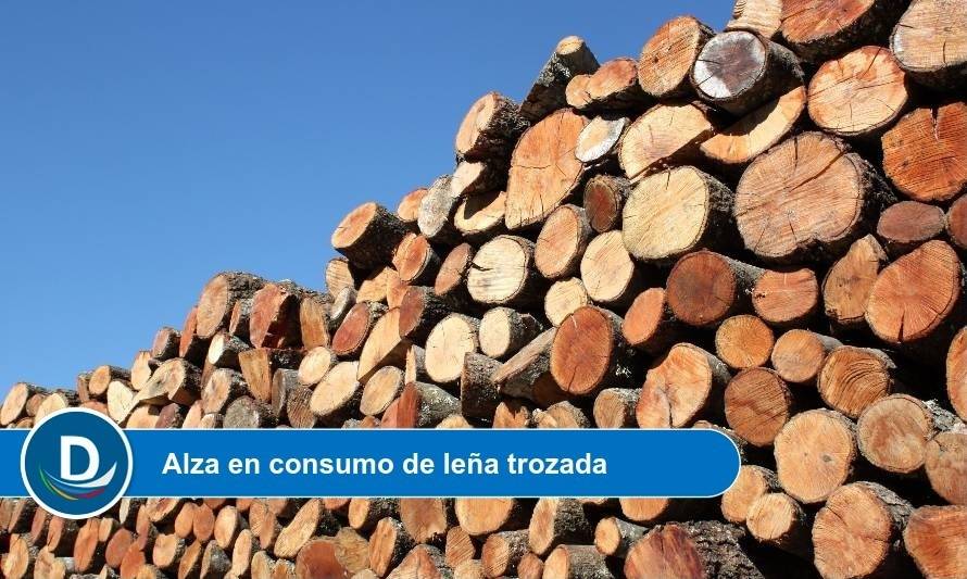 Estudio de ACOVAL: 97% de los hogares encuestados utiliza leña