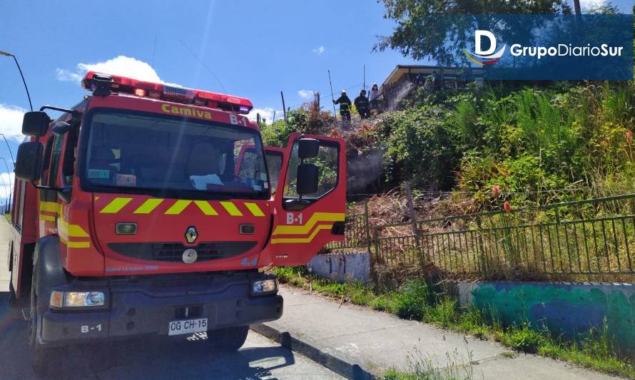 Alarma de bomberos por incendio de pastizales en Futrono