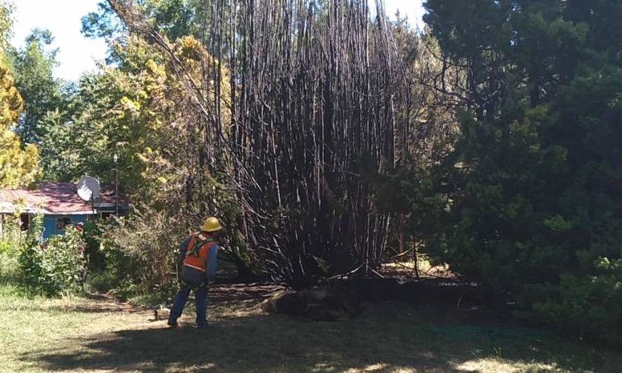 Incendio forestal provocó corte eléctrico en zonas de Paillaco y Futrono