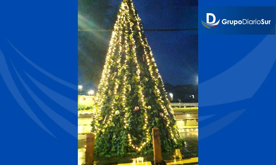 Denuncian irregularidades en arriendo de árbol navideño en Lago Ranco