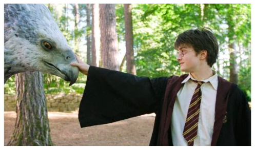 ¿Eres un verdadero fan de Harry Potter? Demuéstralo aquí