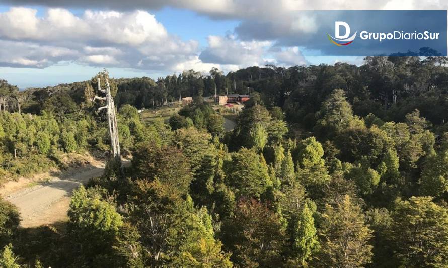 Parque Nacional Alerce Costero reabre sus puertas al uso público