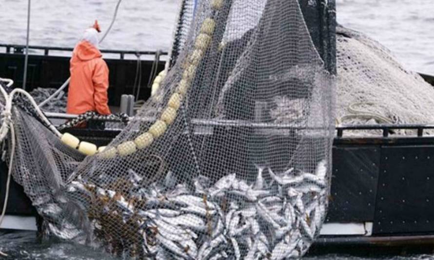 Restringen pesca de arrastre de la merluza sólo a polígonos históricos