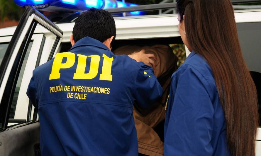 Joven detenido: PDI incautó plantas de cannabis Sativa en Paillaco