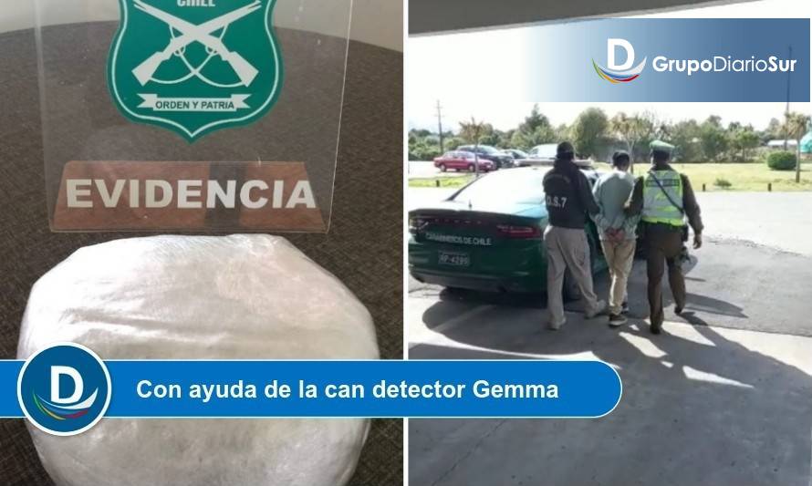 Decomisaron más de 3 mil dosis de marihuana