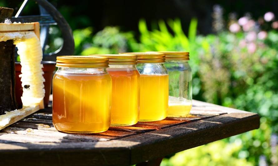  En la UST analizan propiedades y aplicaciones biomédicas de la miel