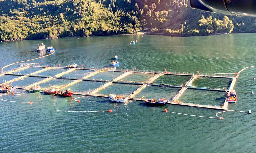 Sernapesca interpone querella por contaminación de fiordo Comau