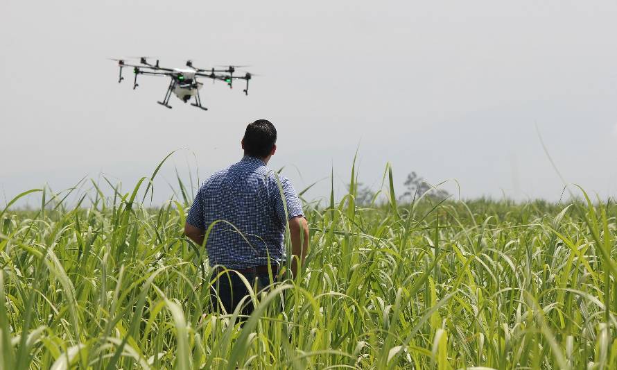 Abren postulaciones para premio Avonni “Agro del Futuro” 