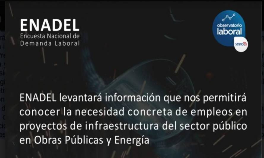 Encuesta de demanda laboral inicia su levantamiento con foco en la recuperación del empleo
