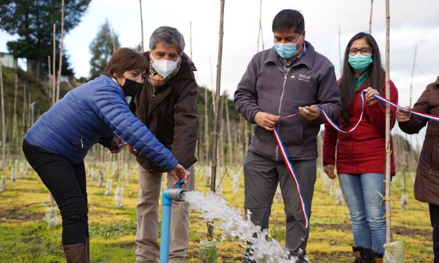 Riego eficiente e innovación de cultivos protagonizan agricultores de Los Ríos