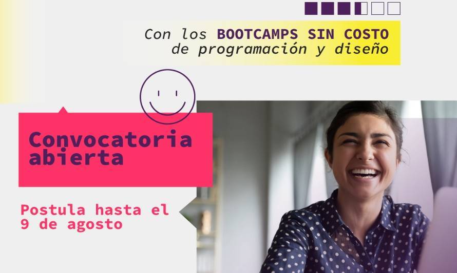 En Los Ríos lanzan 50 becas para reconversión laboral en el área digital