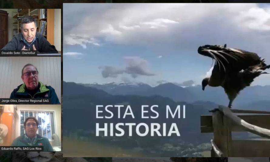Diario Sur realiza programa sobre mitos y verdades de la Fauna Silvestre en Los Ríos