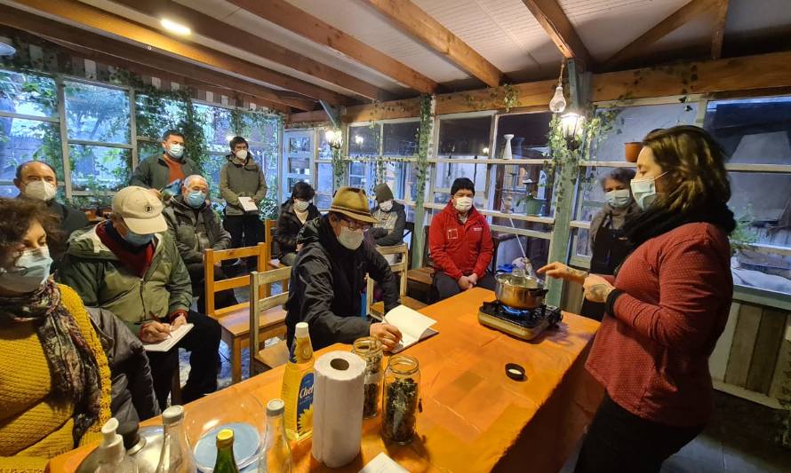 Vecinos del sector Regional de Valdivia se capacitan en herbolaria medicinal gracias al Fondo de Fortalecimiento