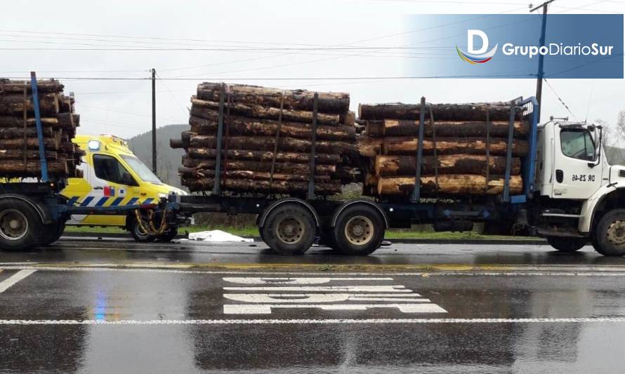 SIAT de Carabineros indagará accidente con resultado de muerte en salida de Paillaco
