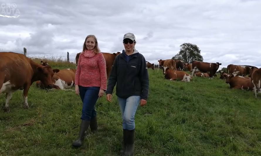 Pamela y Andrea Werner: Camino a la independencia