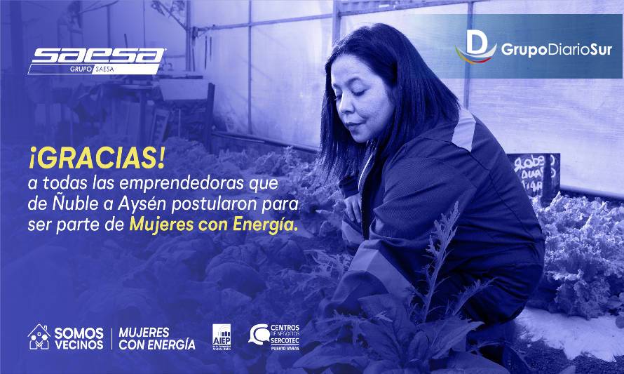 Cientos de emprendedoras postularon al programa Mujeres con Energía de Saesa 