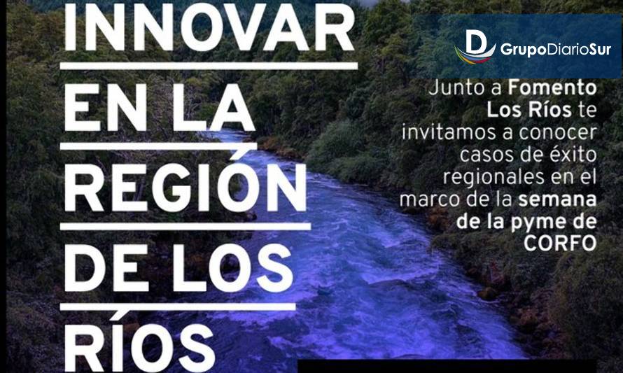 Invitan a emprendedores a conocer experiencias de innovadores en Los Ríos