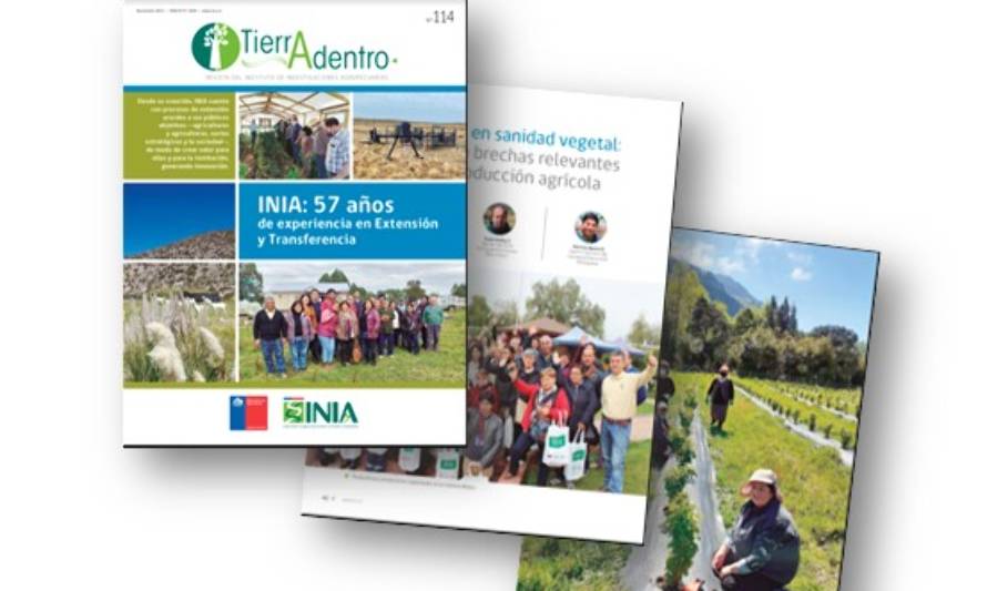 Nueva revista Tierra Adentro: Publicación INIA profundiza en el quehacer institucional en extensión y formación de capacidades