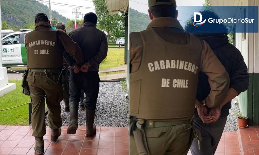 Huían con 4 vacunos: Carabineros sorprendió a 2 sujetos cometiendo abigeato en Futrono