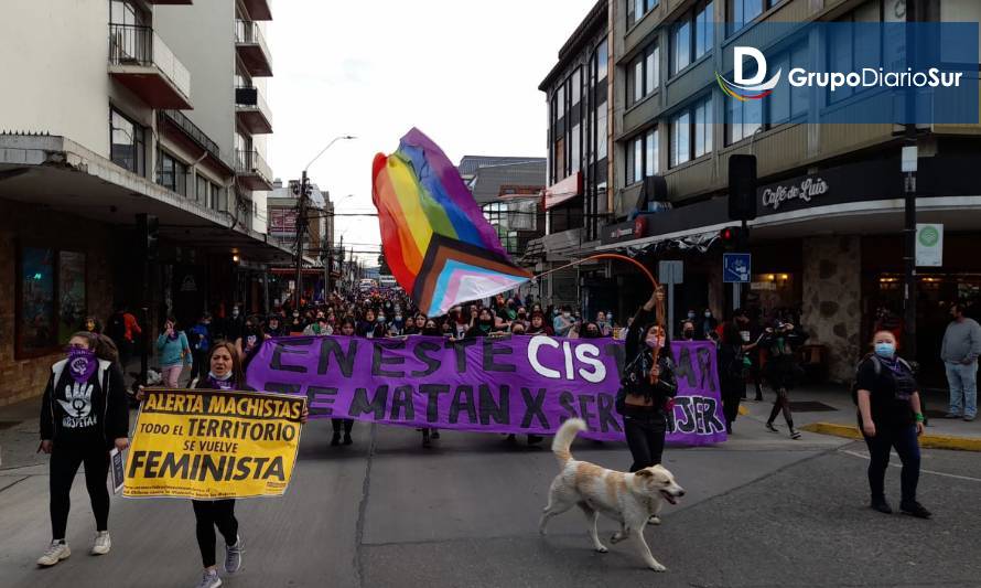 Marcha feminista se desarrolla en Valdivia por el Día Contra la Violencia de Género 